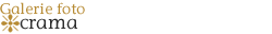 Galerie foto - crama