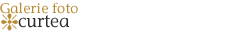 Galerie foto - curtea